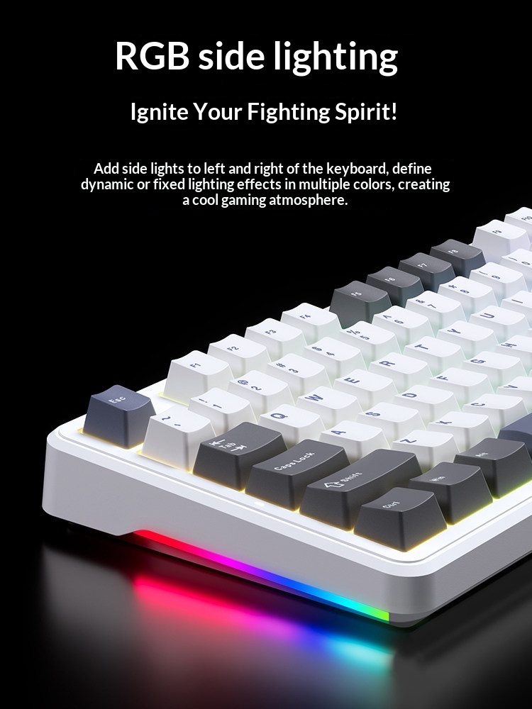 Aula F87 Pro Tri-Mode Kabellos – Gaming Keyboard Not Typing Bewertung und Preis