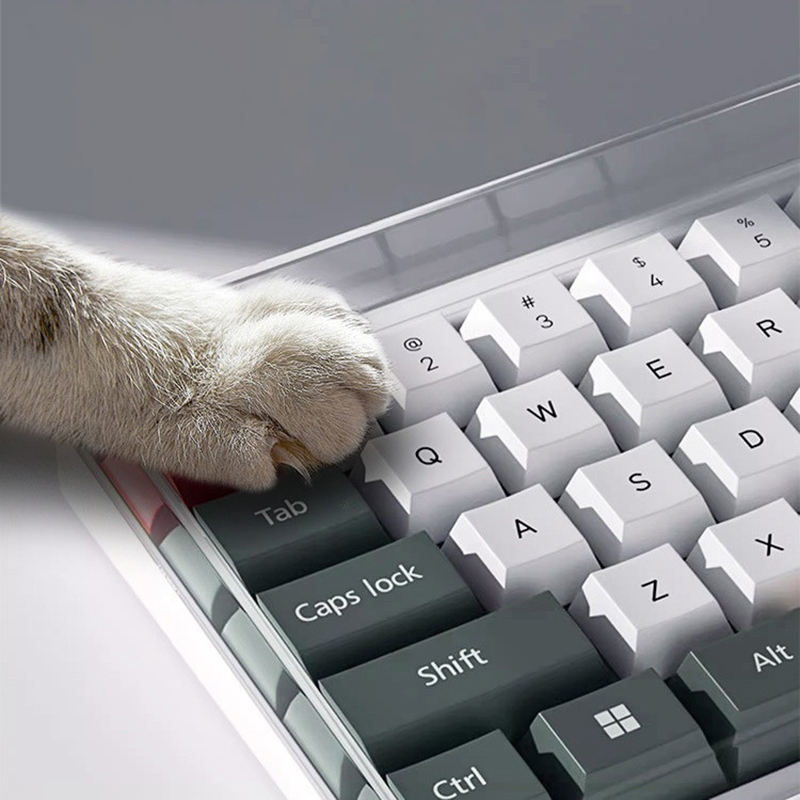 ★ ▲ 78/108 Tasten, transparent – Keyboard Gaming Transparent Bewertung und Preis